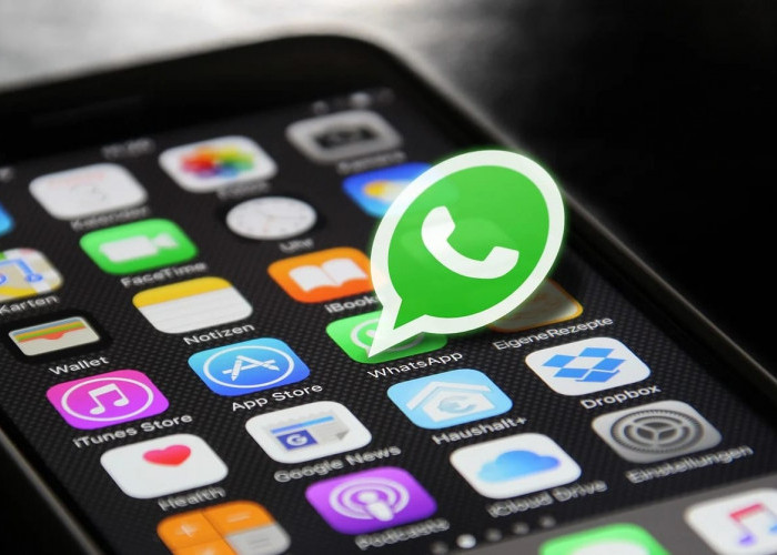 WhatsApp Makin Kece! Begini Cara Custom Tema yang Jarang Diketahui