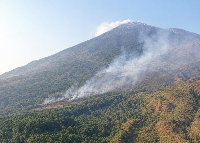 Kebakaran Hutan Melalap Taman Nasional Gunung Ciremai, Api Masih Membara Hingga Kamis Pagi