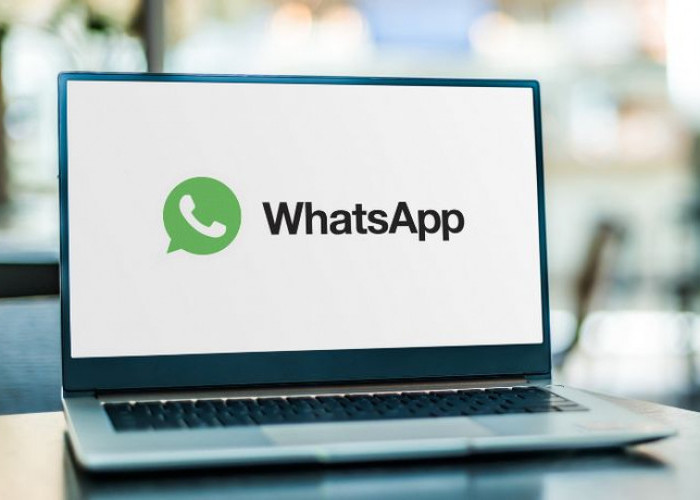 WhatsApp Web Bakal Bisa Video Call Grup, Meeting Dadakan Kini Tak Perlu Buka HP