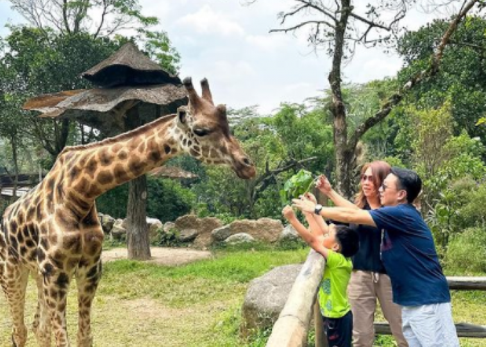 Momen Liburan Menjadi Berkesan, Berikut Ini 5 Tempat Wisata Bogor