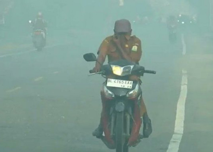 Kabut Asap Karhutla Makin Mengkhawatirkan, Kasus Gangguan Pernapasan Meningkat