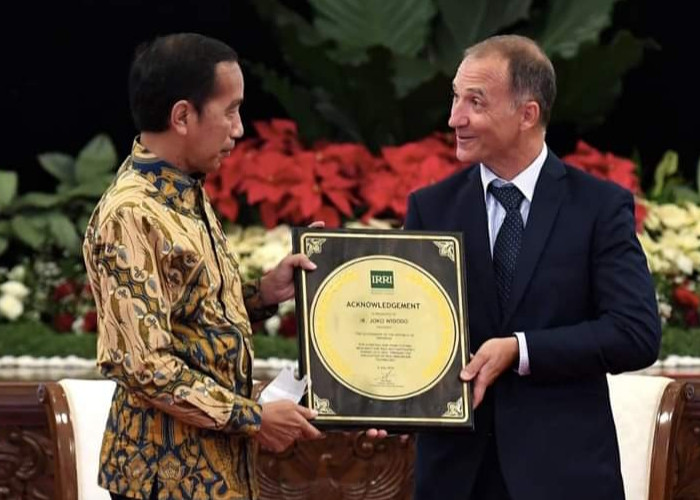 Indonesia Mendapat Penghargaan IRRI, 3 Tahun Berturut-turut Berhasil Swasembada Beras