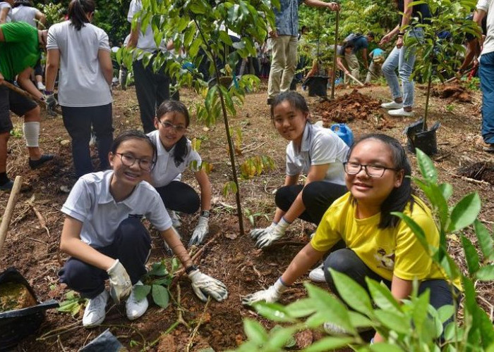 Pemerintah Perkuat Pemulihan Gambut dan Mangrove untuk Cegah Karhutla Berulang