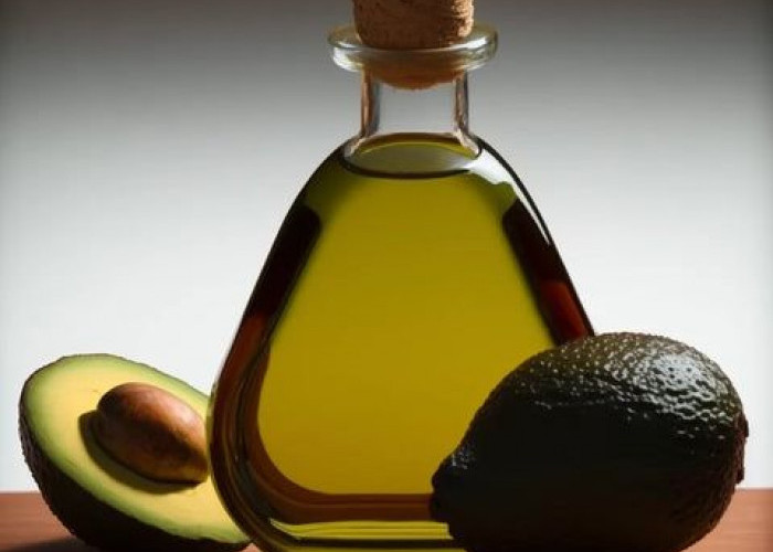 Manfaat Minyak Alpukat untuk Rambut: Bikin Lembap, Kurangi Rontok, hingga Bantu Rambut Tumbuh Lebih Sehat