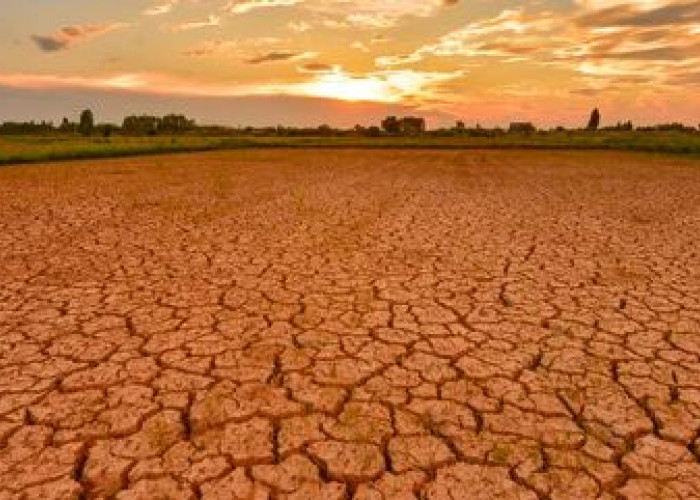 El Nino Ancam Asia Tenggara, Krisis Pangan dan Inflasi Diperkirakan Meningkat