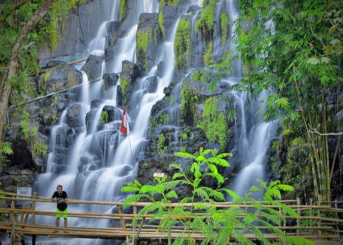 Sumsel Punya Wisata Alam yang Indah, Tempatnya Ada di Sini