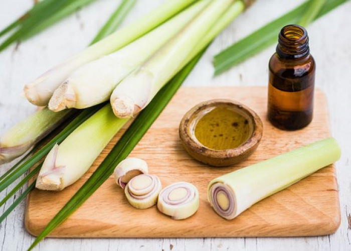 Manfaat Air Serai: Atasi Stres, Redakan Nyeri, dan Sehatkan Imun