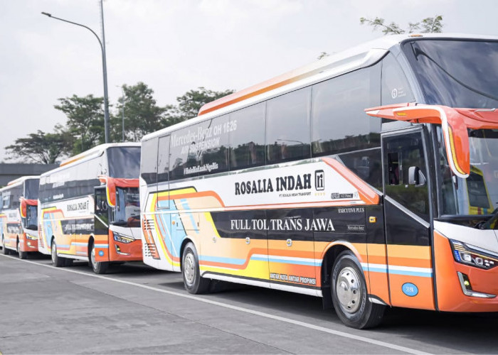 Harga Tiket Bus AKAP Rosalia Indah untuk Mudik Lebaran 2025