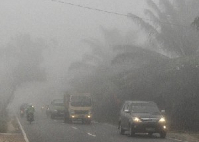 Kabut Asap Menyeberang ke Malaysia, Seberapa Parah Karhutla Indonesia Tahun Ini?