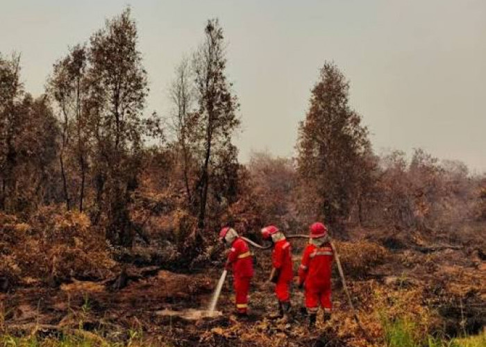 Karhutla Makin Sulit Dijangkau, TNI Siapkan Pasukan Khusus untuk Jinakkan Titik Api