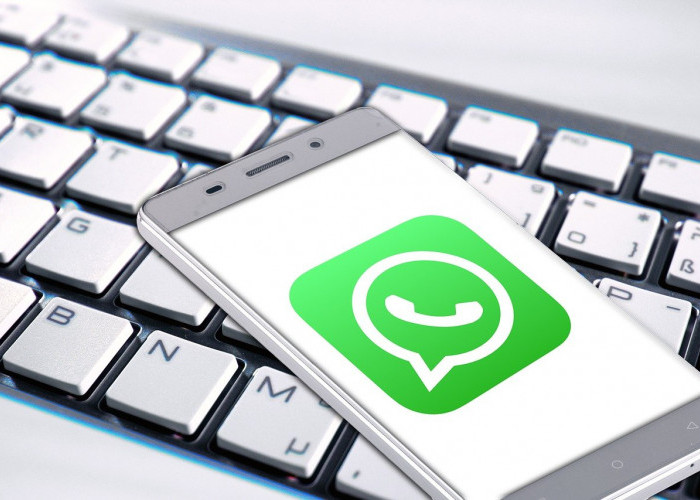 Mudah Banget! Inilah 5 Tips Mengatasi Akun WhatsApp yang Diblokir, Kamu Bisa Pake Cara Ini