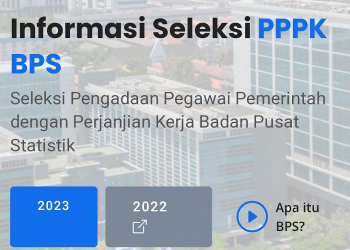 Lowongan Ratusan PPPK 2023 BPS, Gajinya Minimal Rp6,1 Juta