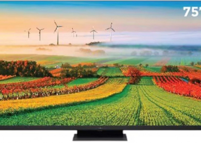 3 Rekomendasi TV Mini LED 75 Inch Terbaik untuk Pengalaman Menonton Sinematik dengan Gambar Tajam