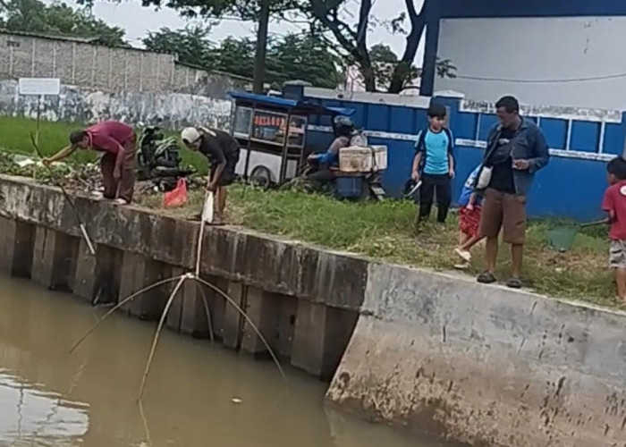 Warga Ramai-ramai Menangkap Ikan Mabuk di Anak Sungai Cisadane, Kadis Kesehatan: Jangan Dikonsumsi 