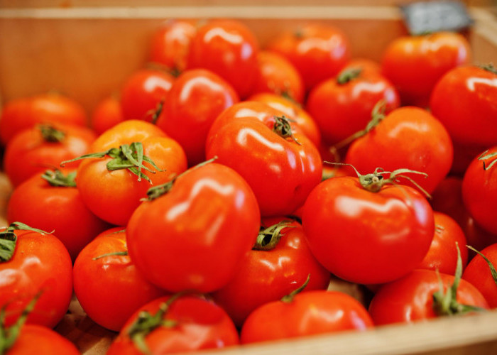 Banyak Manfaat dari Buah Tomat yang Baik Bagi Tubuh 