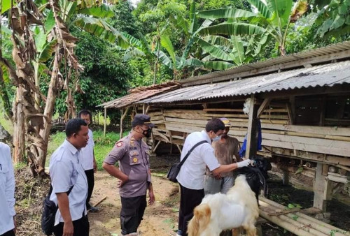 Cegah PMK, Polres Lebak Awasi Ternak dari Luar Daerah