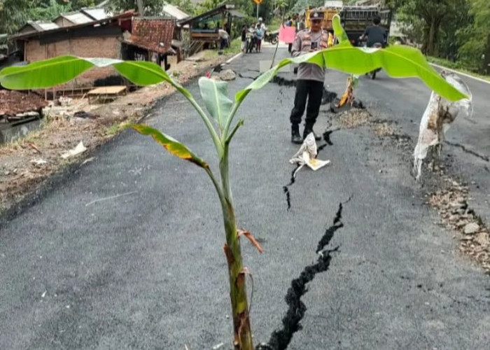 Jalan Nasional Pandeglang -Lebak Ruas Cikeusik Amblas, 1 Rumah Warga Ambruk 