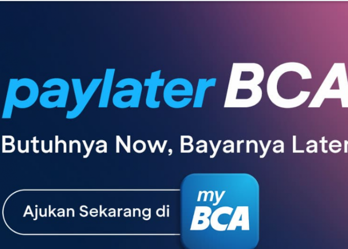 Pengajuan Paylater BCA Mudah Banget Limitnya Hingga 20 Juta
