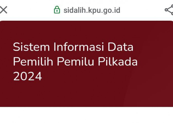 Kenali Aplikasi Pendukung Pilkada 2024 Selain Sirekap, Ada Sidalih dan Silog, Ini Fungsinya