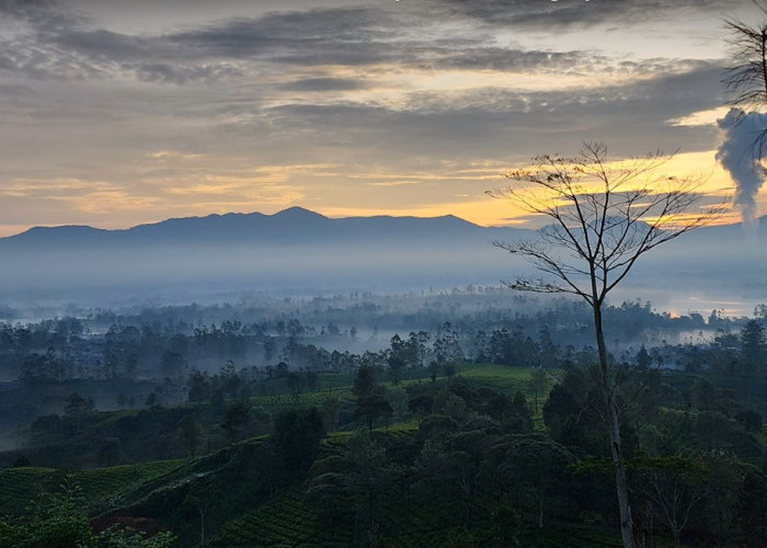 Pallima Hills Bandung, Camping Ground Spot Menikmati Sunrise yang Fantastis, Cek Harga Tiket Masuknya