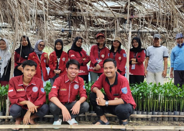 KKM Kelompok 19 UNIBA Lakukan Penanaman Pohon Mangrove untuk Pelestarian Lingkungan