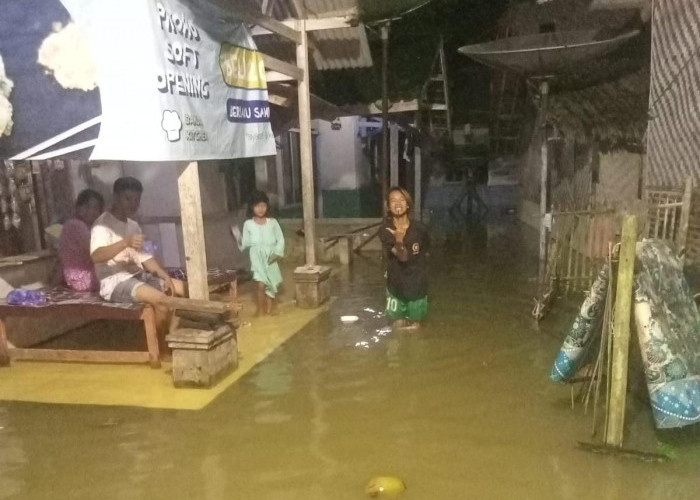 Ratusan Rumah di Kecamatan Pagelaran dan Patia Pandeglang Terendam Banjir 
