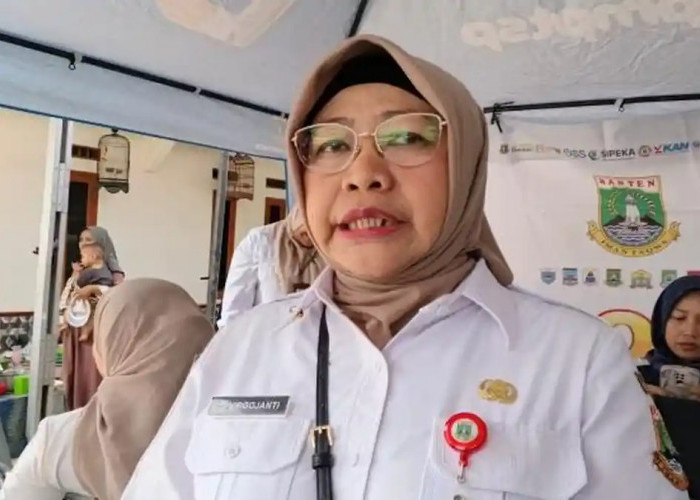 Investasi Banten Tembus Rp66,3 Triliun pada Semester I 2026, Kabupaten Tangerang Jadi Primadona