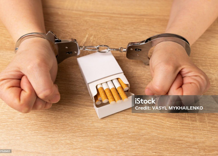 Bongkar Gudang Rokok Ilegal di Serang, Polda Banten Sita 80 Bal dan Amankan Tiga Orang 