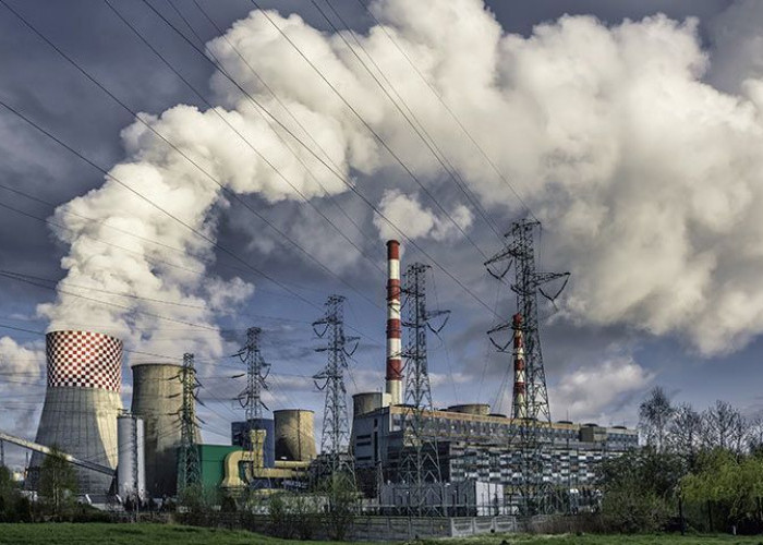 Bau Oli di Sepatan Ganggu Warga, Pemkab Tangerang Didesak Bertindak