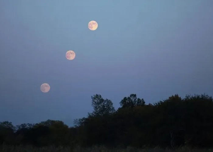 Harvest Moon Hiasi Langit Indonesia, Apa Makna Fenomena Bulan Panen?