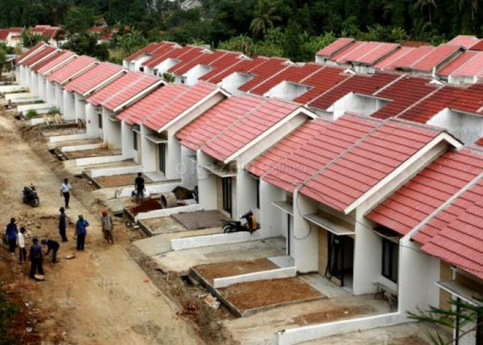 Akses Rumah Layak Huni Meningkat, Tantangan Kepemilikan Hunian Masih Ada