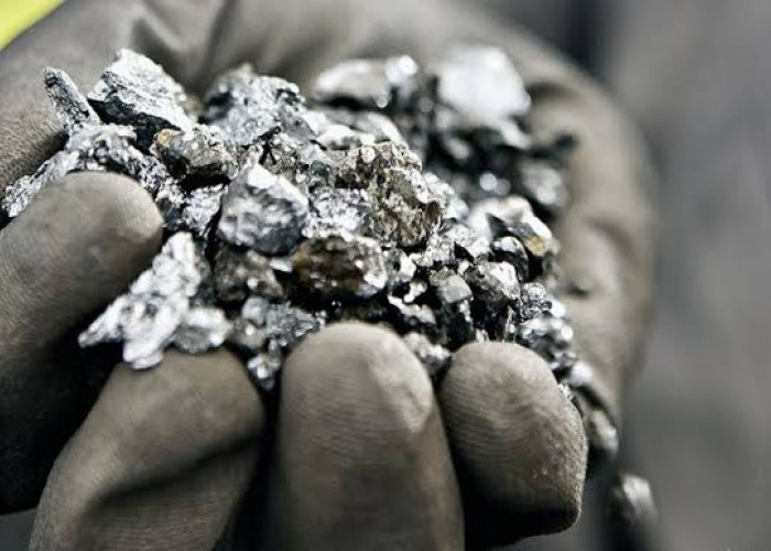 Harga Nikel Berpotensi Naik, Hilirisasi Indonesia Siap Petik Peluang Emas Investasi
