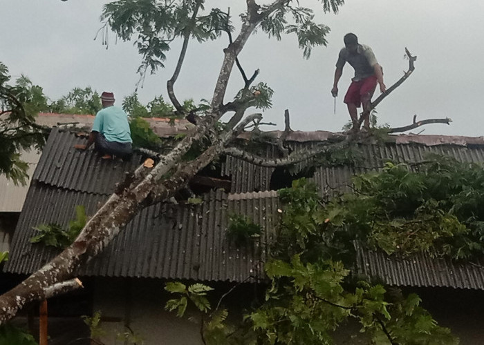 Akibat Hujan Deras Disertai Angin, Salah Satu Rumah Warga di Kecamatan Sobang Mengalami Rusak Parah