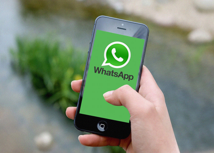 Penasaran? Begini Cara Melihat Pesan WhatsApp yang Dihapus