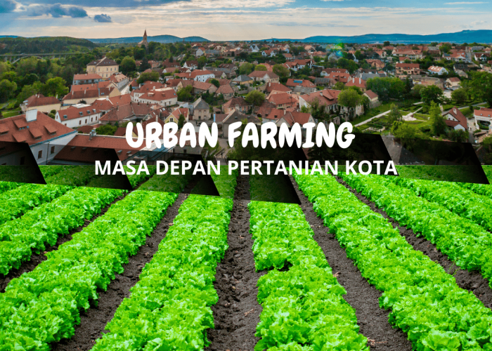 Urban Farming Jadi Solusi Ketahanan Pangan Mandiri di Perkotaan yang Minim Lahan
