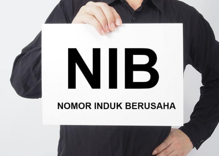 Bukan Sekadar Formalitas, Ini Manfaat NIB bagi Pelaku UMKM