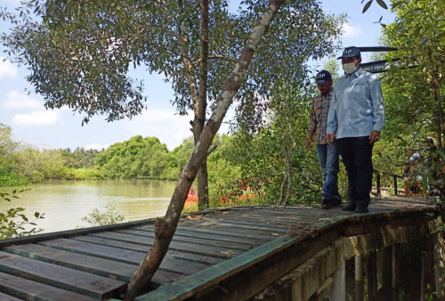 Olahan Kayu Bekas Jadi Penunjang Wisata Mangrove di Panimbang 