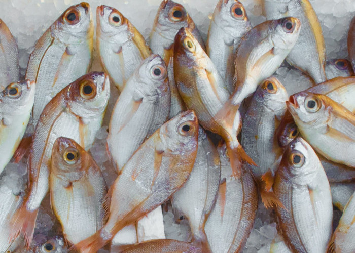 5 Jenis Ikan yang Patut Dihindari Penderita Diabetes