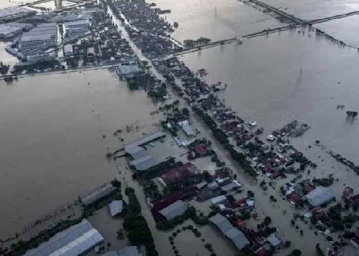 Jadi Banjir Demak Terparah Ada Kaitannya Dengan Cerita Mistis Adakan Ritual Kambing Kendit