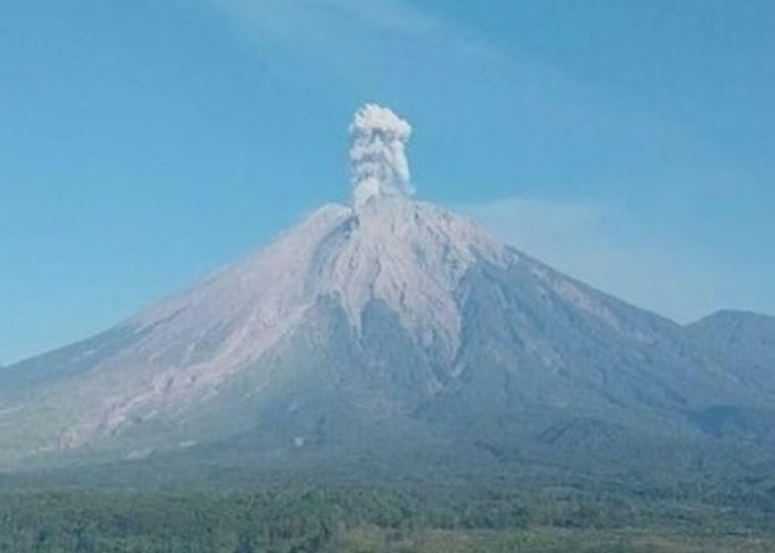 Semeru Erupsi 3 Kali dalam Dua Jam, Kolom Abu Makin Tinggi hingga 1.000 Meter