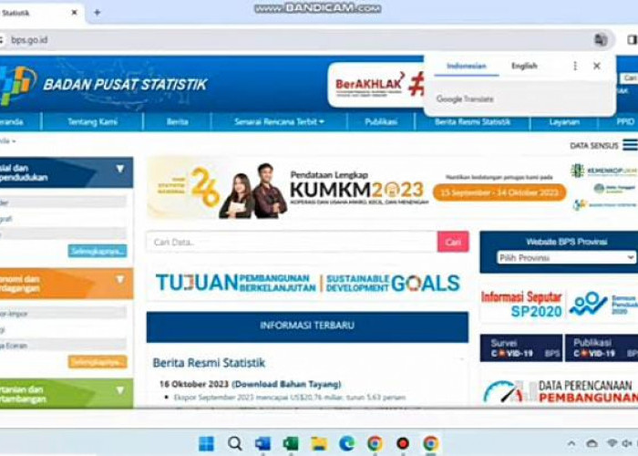 Cara Mencari Data Melalui Halaman Resmi Badan Pusat Statistik, Mahasiswa Harus Tahu untuk Membantu Penelitian