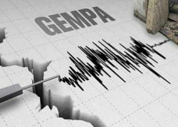 Gempa Jember M 6,2 Tak Berpotensi Tsunami