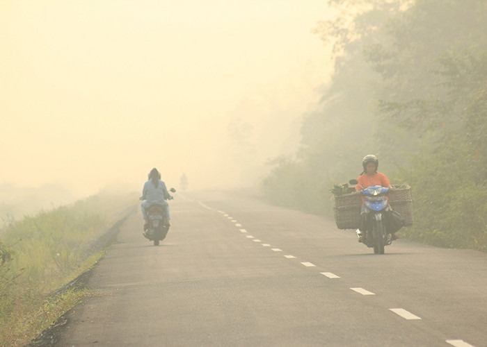 Waspada, Polusi Udara Kabupaten Serang Meningkat Menjadi Kota Paling Berpolusi di Indonesia