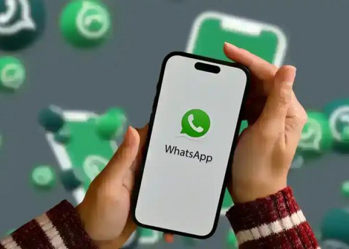 WhatsApp Rilis Fitur Scam Alert, Kini Chat Mencurigakan Bisa Terdeteksi Otomatis
