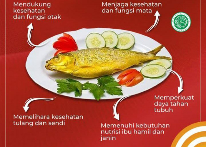 Menjadi Makanan Khas Banten, Ikan Bandeng Miliki Banyak Manfaat untuk Kesehatan