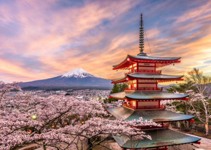 Mau Liburan ke Jepang? Simak Tips dan Rekomendasi Wisata yang Wajib Dikunjungi
