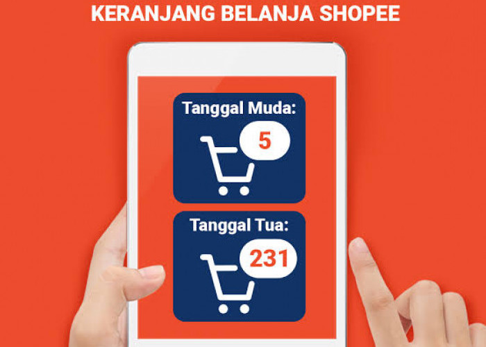 Keranjang Belanja Makin Penuh? Ini 6 Trik Jitu Biar Nggak Kalap Saat Checkout