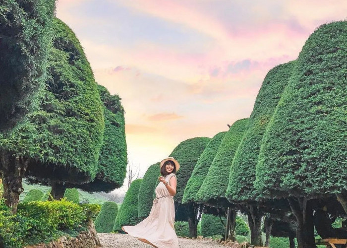 Tak Hanya Rekreasi Bukit Jamur Ciwidey Juga Bisa Jadi Lokasi Pre Wedding 