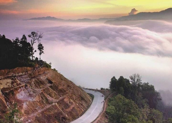 Mau Camping dengan Suasana Negeri di atas Awan? ke Gunung Luhur Ciusul Lebak Aja, Indah Puoll