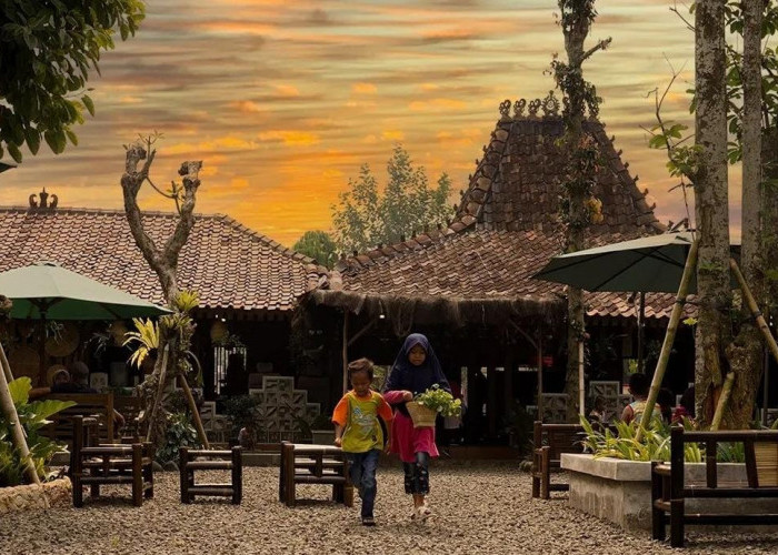 Omah Yung Ginah, Restoran di Tangerang Dengan Vibes Jogja, Jadi Wisata Tangerang Paling Terkini